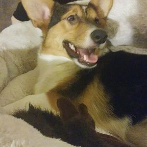 Meet your Posher, Julia